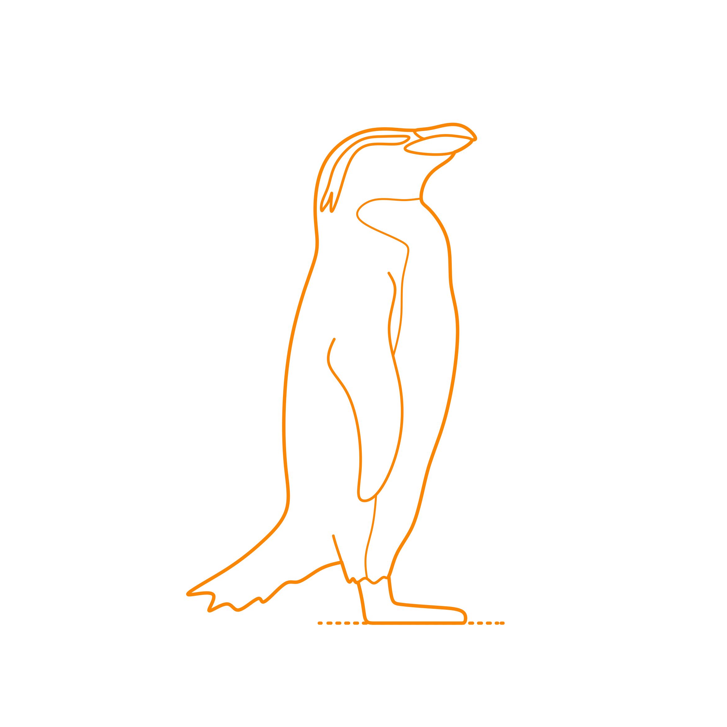Animals Penguins Snares Penguin Sketch Drawing Svg Free Vectors